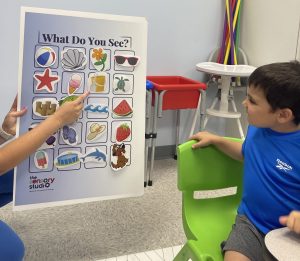 Executive Functioning